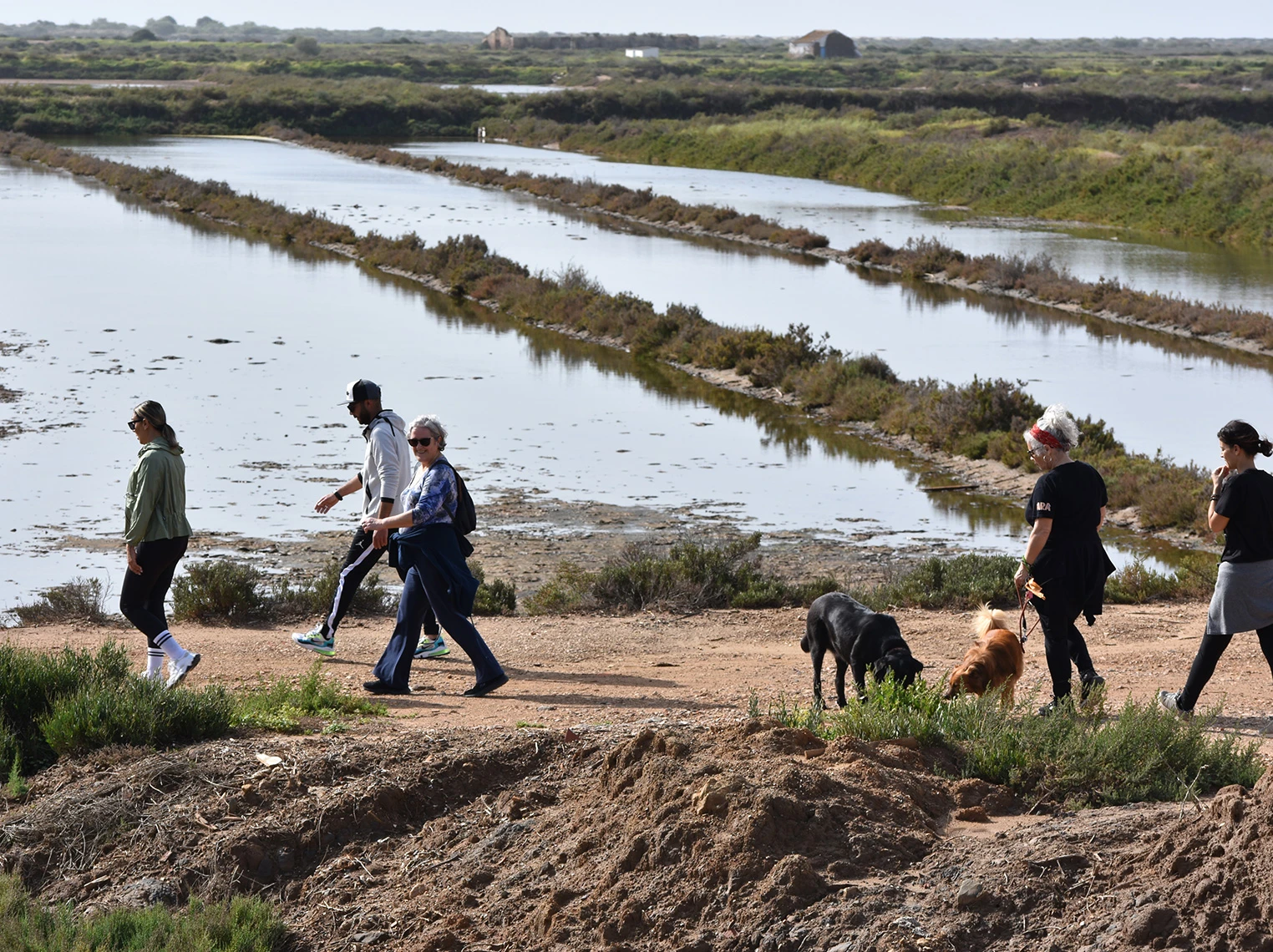 Caminhada Solidária Tavira